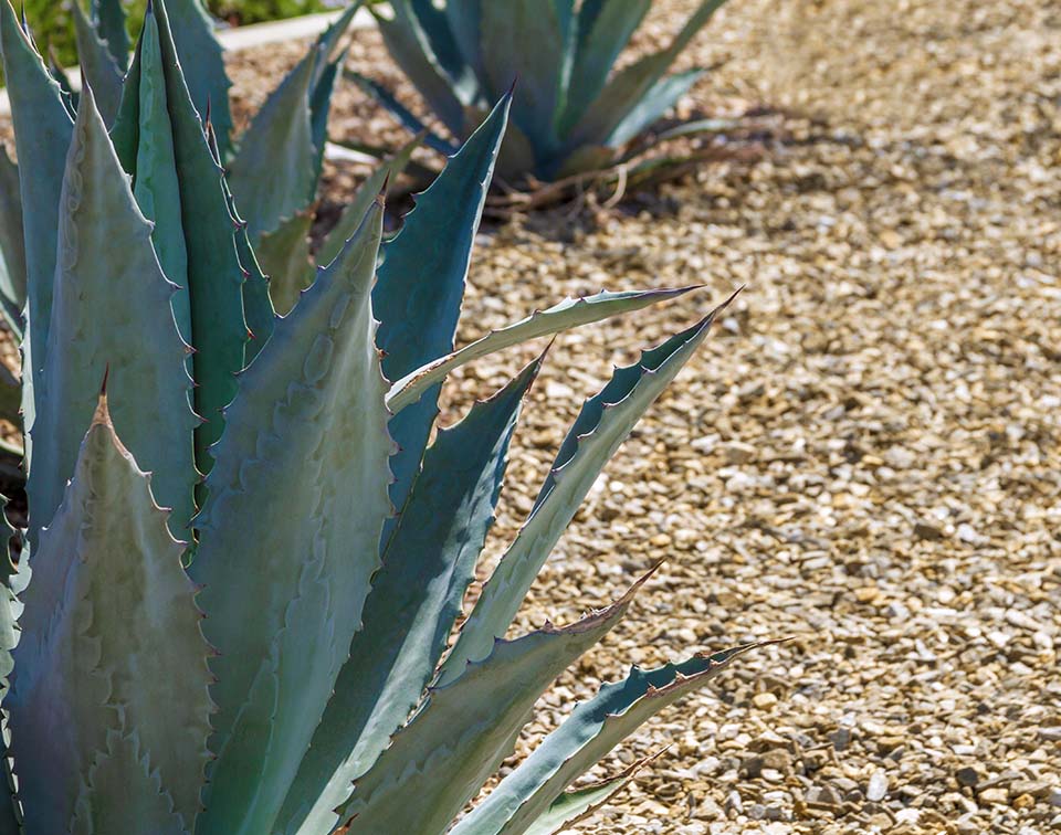Retaining Wall Construction